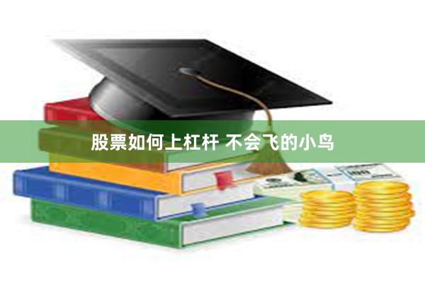股票如何上杠杆 不会飞的小鸟