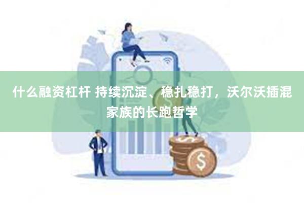 什么融资杠杆 持续沉淀、稳扎稳打，沃尔沃插混家族的长跑哲学