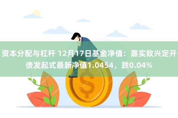 资本分配与杠杆 12月17日基金净值：嘉实致兴定开债发起式最新净值1.0454，跌0.04%