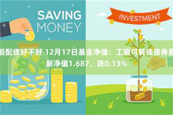 股配债好不好 12月17日基金净值：工银可转债债券最新净值1.687，跌0.13%