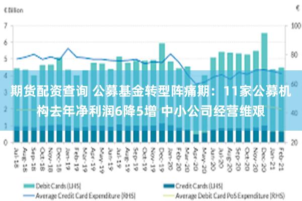 期货配资查询 公募基金转型阵痛期：11家公募机构去年净利润6降5增 中小公司经营维艰