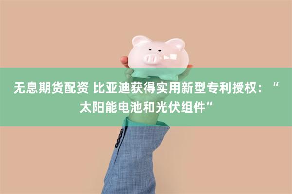 无息期货配资 比亚迪获得实用新型专利授权：“太阳能电池和光伏组件”