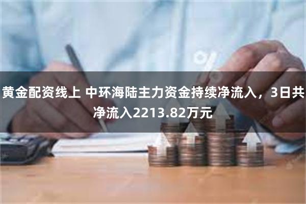 黄金配资线上 中环海陆主力资金持续净流入，3日共净流入2213.82万元