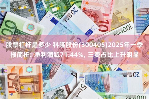 股票杠杆是多少 科隆股份(300405)2025年一季报简析: 净利润减71.44%, 三费占比上升明显
