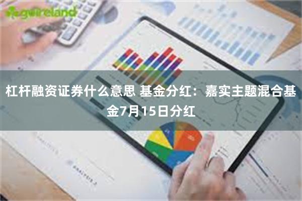 杠杆融资证券什么意思 基金分红：嘉实主题混合基金7月15日分红