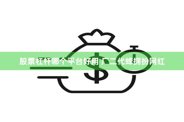 股票杠杆哪个平台好用 厂二代蜂拥扮网红