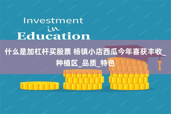 什么是加杠杆买股票 杨镇小店西瓜今年喜获丰收_种植区_品质_特色