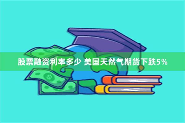 股票融资利率多少 美国天然气期货下跌5%